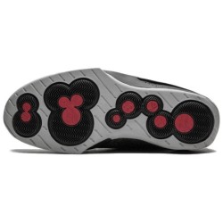 Air Jordan 20 Retro Zebra