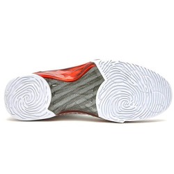 Air Jordan 23 Retro Leopard